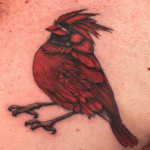 Colorful Tattoo of a Red Robin with a beautiful story behind the lines that formed this tattoo